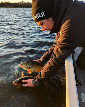 Headbanger Cranky Shad 6,4cm - Natural Perch - 10g