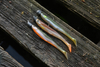 Zestaw gum Savage Gear Slender Scoop Shad 11cm | Dark Water Mix | 4szt