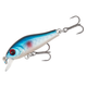 Blue Roach