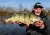 Guma Savage Gear Cannibal 6,8cm | Lemon Cracker
