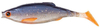 Guma Berkley Pulse Realistic Roach 11cm | Roach