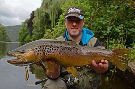 Wobler Salmo Minnow 7cm | Holo Bleak | tonący