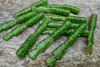 Guma Great Fish GF2 Leech 6cm | Glitter Green | krewetkowy | 10 szt.