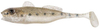 .Guma Berkley Pulse Realistic Goby 12cm | Salt and Pepper