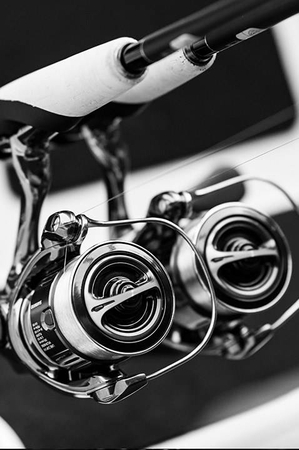 Kołowrotek Shimano Stella 2500 FK