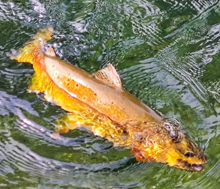 Przynęta Libra Lures Flex Worm 9cm | 004 - Silver Pearl | brak zapachu | 10 szt.