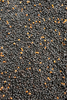 Micro Pellet Feeder Bait Prestige Dark 2mm | Naturalny (Rybny)