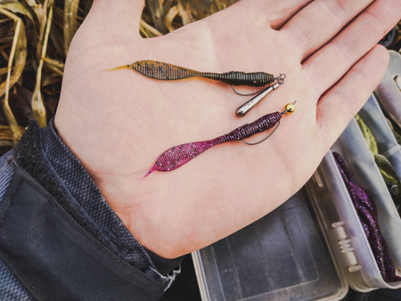 Przynęta Perch Professor F**king Leech 2"/5,5cm - MIX - 12 szt.