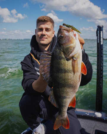 Guma Nays ND 35 | 8.9cm | C-19 | 4 szt.