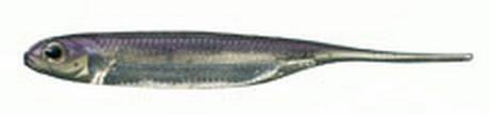 Fish Arrow Flash-J 3" - Lake Wakasagi/Silver #25 - 1 szt.