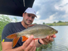 Dodatek do zanęt Feeder Bait 150g | Pieczywo Żółte
