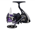 Kołowrotek Daiwa 24 Prorex X LT 3000-CXH