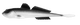 001 - White