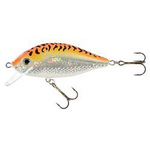 Wobler Jaxon Karaś 11cm | GFT | pływający