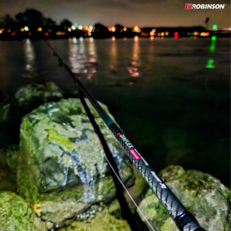 Wędka Robinson Diaflex Deluxe Pike Spin 259cm | 10-38g