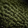 Skarpety Geoff Anderson WizWool HeavyWeight | Green | L / 44-47