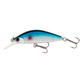 Blue Roach