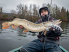 Guma Fox Rage Replicant Wobble 7,5cm | 10g | Super Natural Roach | 2szt.
