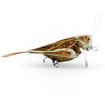 Wobler Imago Lures Hooper 4,5cm - pływający - DBC