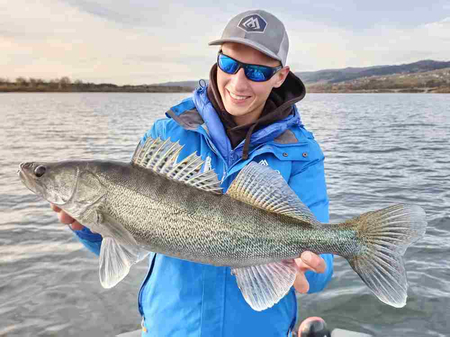 Zestaw guma Mikado MFT Roach 8cm Clear Water Mix 1 +główki Mikado Jaws 5g - 3/0