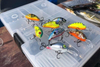 Wobler Salmo Hornet 4cm | Gold Fluo Perch | pływający