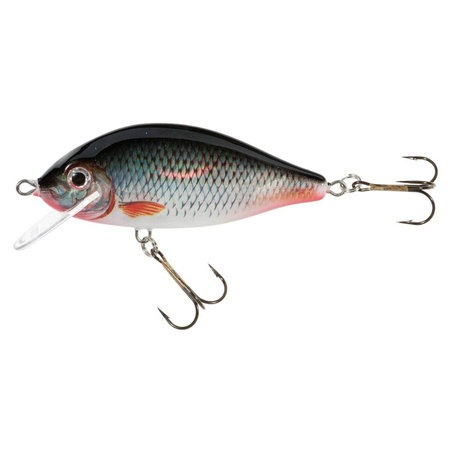 Wobler Jaxon Karaś 11cm | D | pływający