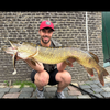 Guma hybrydowa BlackBay BlackBug Beetle Junior 17 cm | 35g | Albino