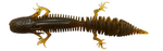 Guma Savage Gear NED Salamander 7,5cm | Green Pumpkin