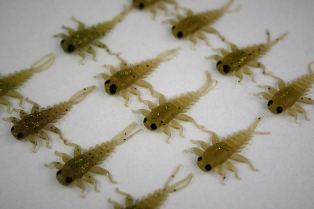 Przynęta FISHCHASER Jętka / 2.7cm / 5szt. / Olive And Pepper
