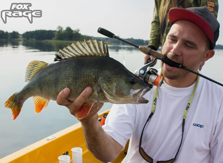 Guma Fox Rage Slick Shad 13cm | Glitter Perch