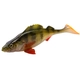  Perch