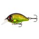 Green Olive Flash