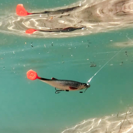Guma DELPHIN Realix 3D / 13cm / 16g / Minnow