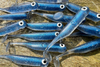 Guma Great Fish GF1 4,9cm | Blue Pearl | bezzapachowy | 10 szt.
