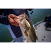 Przynęta Berkley Choppo 75 7,5cm | HD Golden Shiner