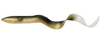 Guma Savage Gear Real Eel 15cm | DIRTY EEL