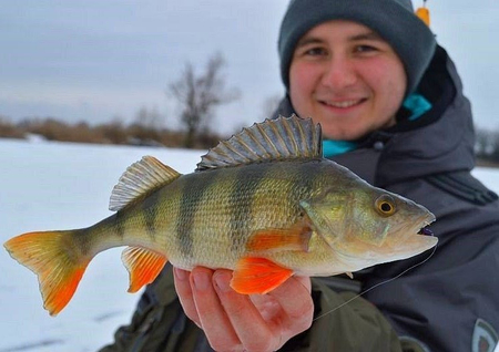 Żuczek podlodowy Mikado Ice Bug 4mm - wolfram - Pomarańczowo-srebnry