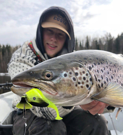 Headbanger Shad 11cm -  Bleak - Pływający
