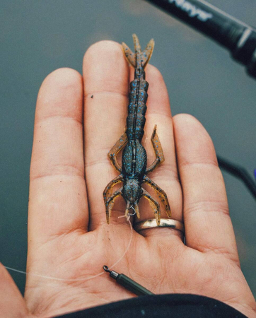 Guma Nays DRGN 35 | 8.9cm | C-32 | 5 szt.
