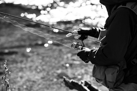 Kołowrotek Shimano Stella C3000 FK