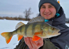 Żuczek podlodowy Mikado Ice Bug 4mm - wolfram - Pomarańczowo-srebnry