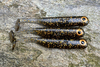 Guma Great Fish GF1 4,9cm | Black&Gold | krewetkowy | 10 szt.